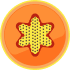 Coin icon